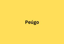 Harnessing the Power of Peúgo: Applications and Benefits for Staying Informed